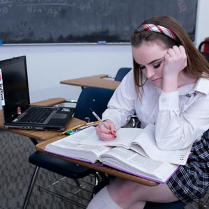 River Fox late at school studying