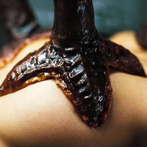 Sucker tentacles on her tits