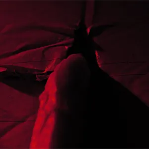 A tentacle found her way into the box