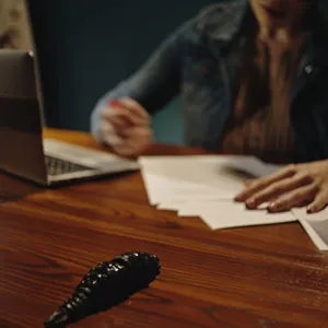 Little Puck working late in the office