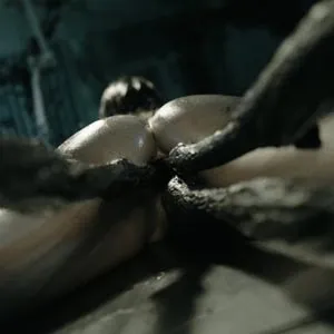 A lot of vines for her pussy