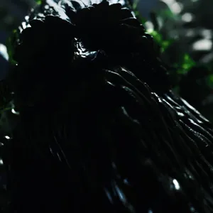 Close up on Trentebeard